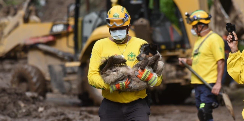 Crece la esperanza de encontrar con vida a familia de Santo Tomás tras rescate de su mascota crece-la-esperanza-de-encontrar-con-vida-a-familia-de-santo-tomas-tras-rescate-de-su-mascota